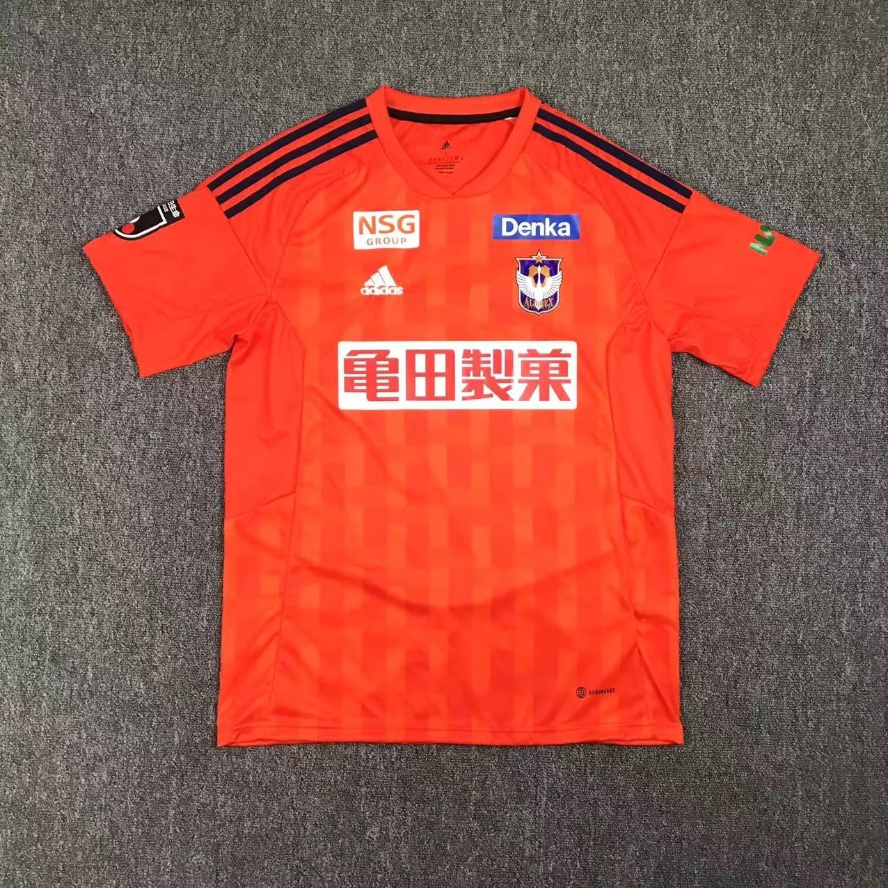 23-24 Albirex Niigata Home Fans Jersey