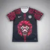 FC Barcelona "Leo's Kingdom" Premium Kit