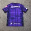 Sanfrecce Hiroshima Home Kit 25-26 - Image 2