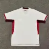 Lanus Away Kit 25-26 - Image 2